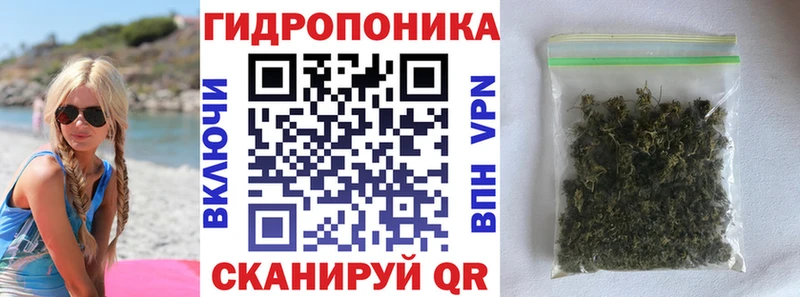 Купить где  Ковдор  Конопля SATIVA & INDICA 